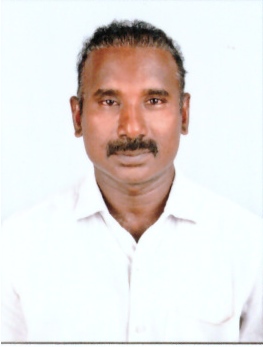 STALIN D